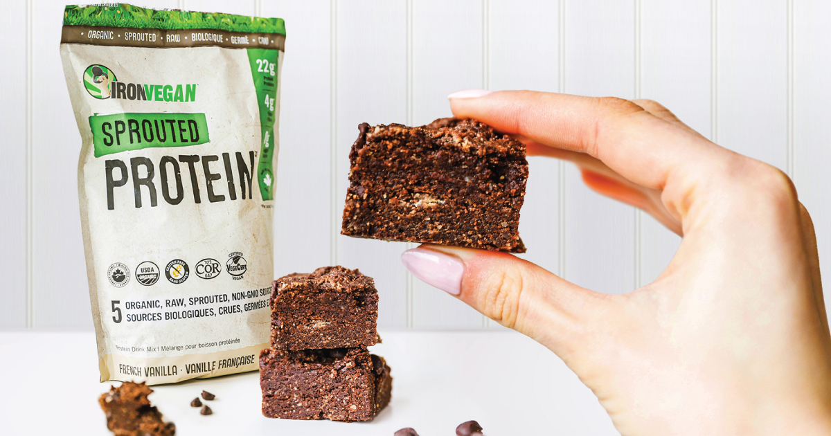 Chocolate Protein Brownies