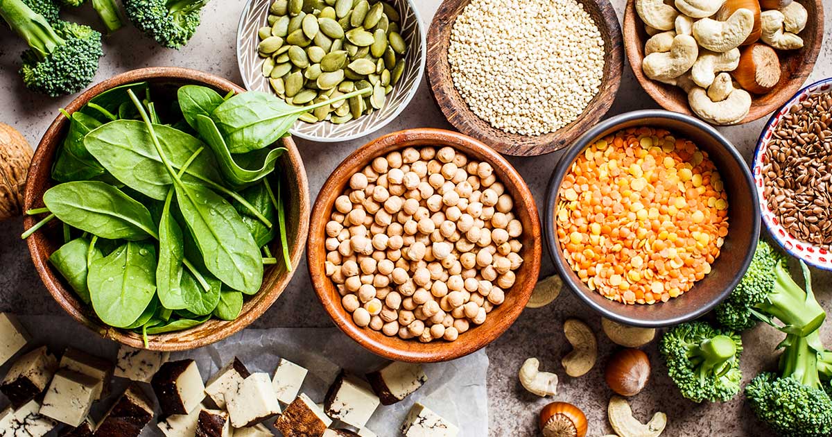 plant based protein sources