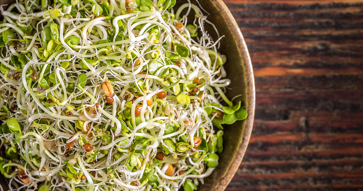 sprouts