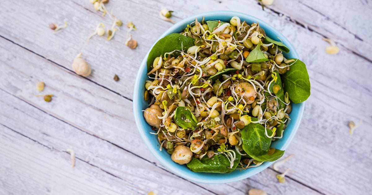sprouts on salad