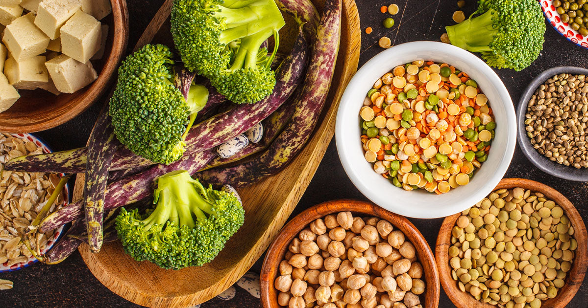 plant proteins