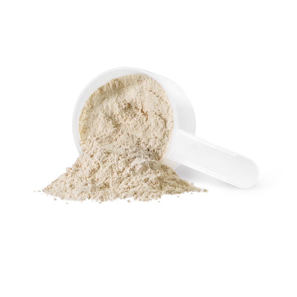 IV9003 Sprouted Protein Unflavoured 500 g Scoop