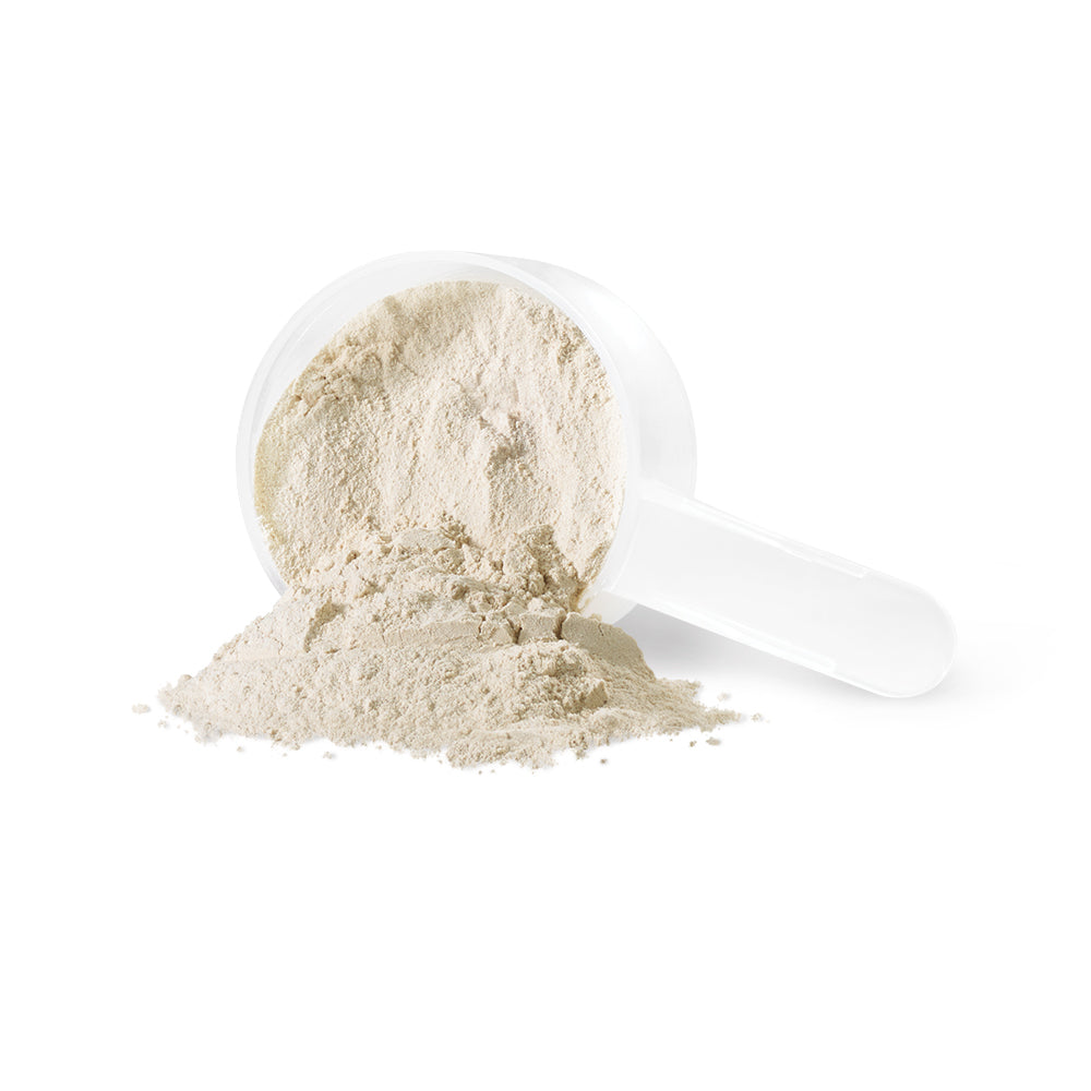 IV9006 Sprouted Protein Vanilla 1kg Scoop