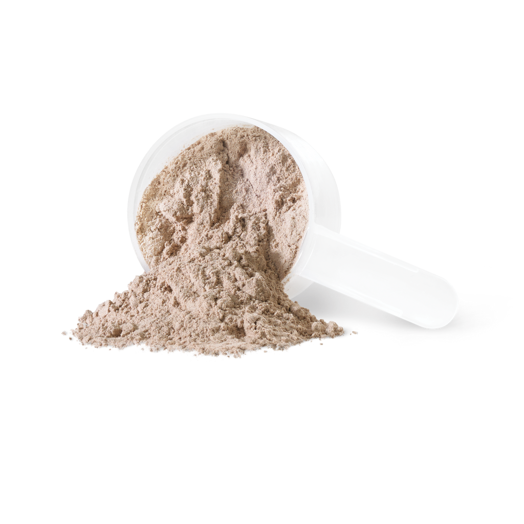 31001964 Iron Vegan Sprouted Protein kg 9001_IV_SproutedProtein_Choc_PWDR