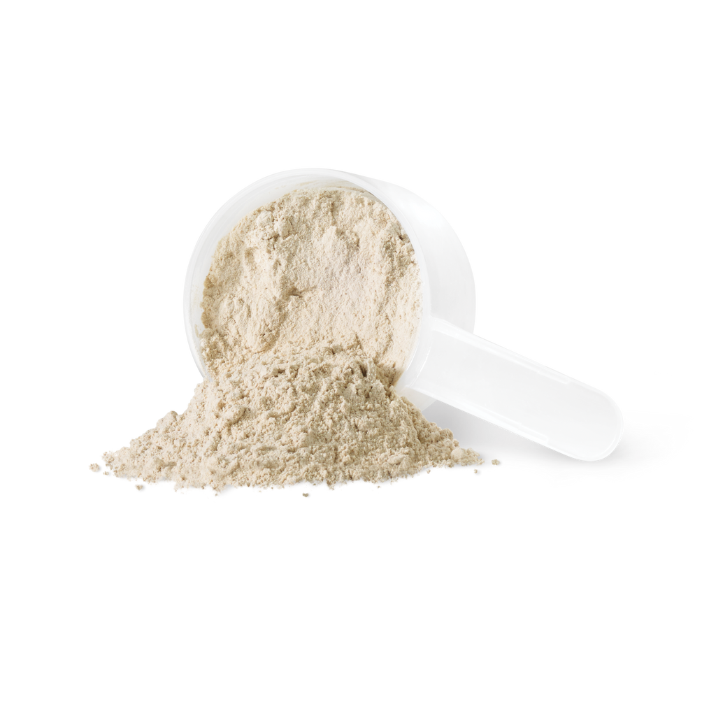 31001961 Iron Vegan Sprouted Protein kg 9002_IV_SproutedProtein_Van_PWDR