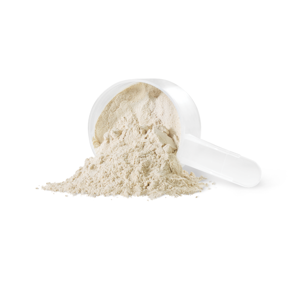31001468 Iron Vegan Sprouted Protein kg 9003_IV_SproutedProtein_Unfl_PWDR
