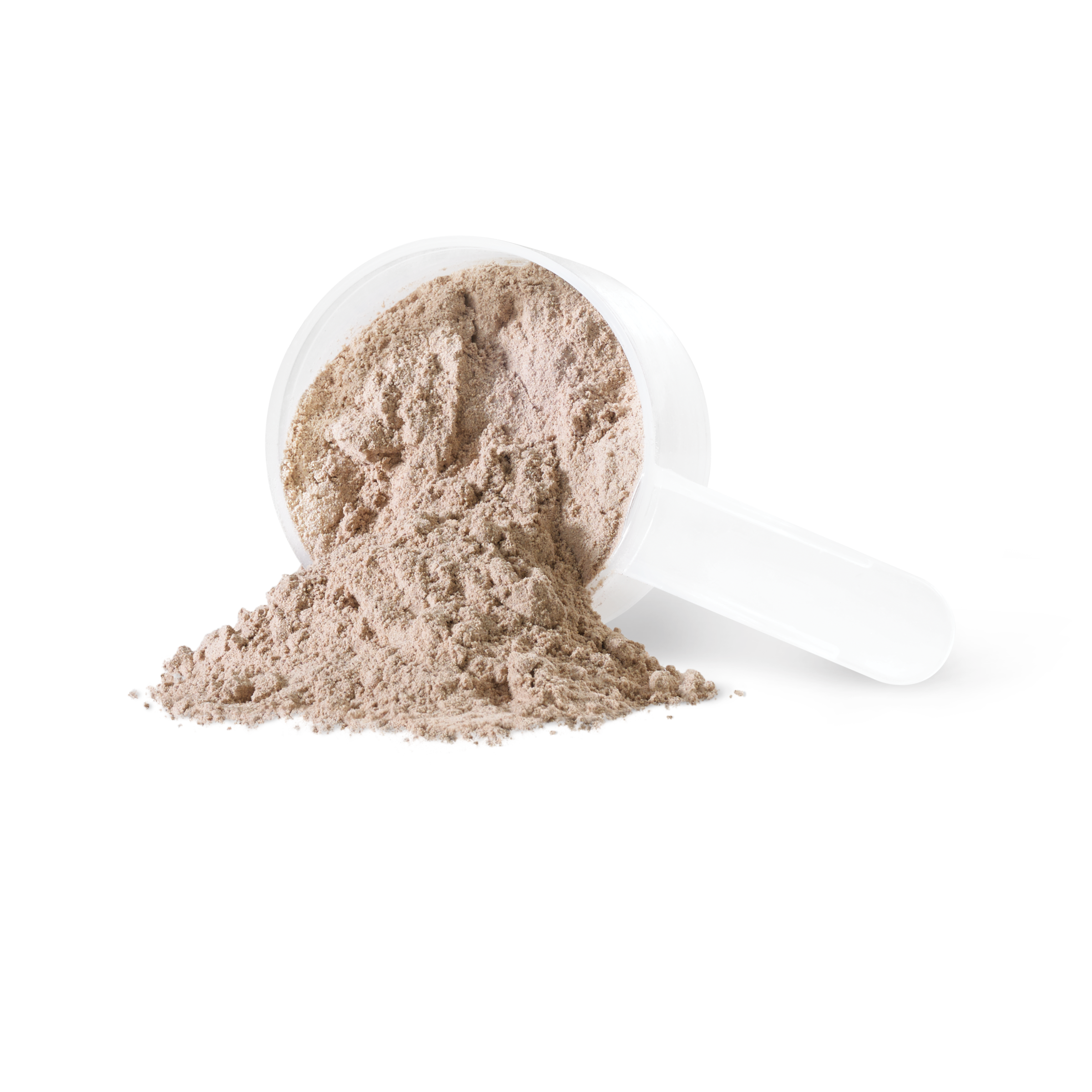 Sprouted Protein