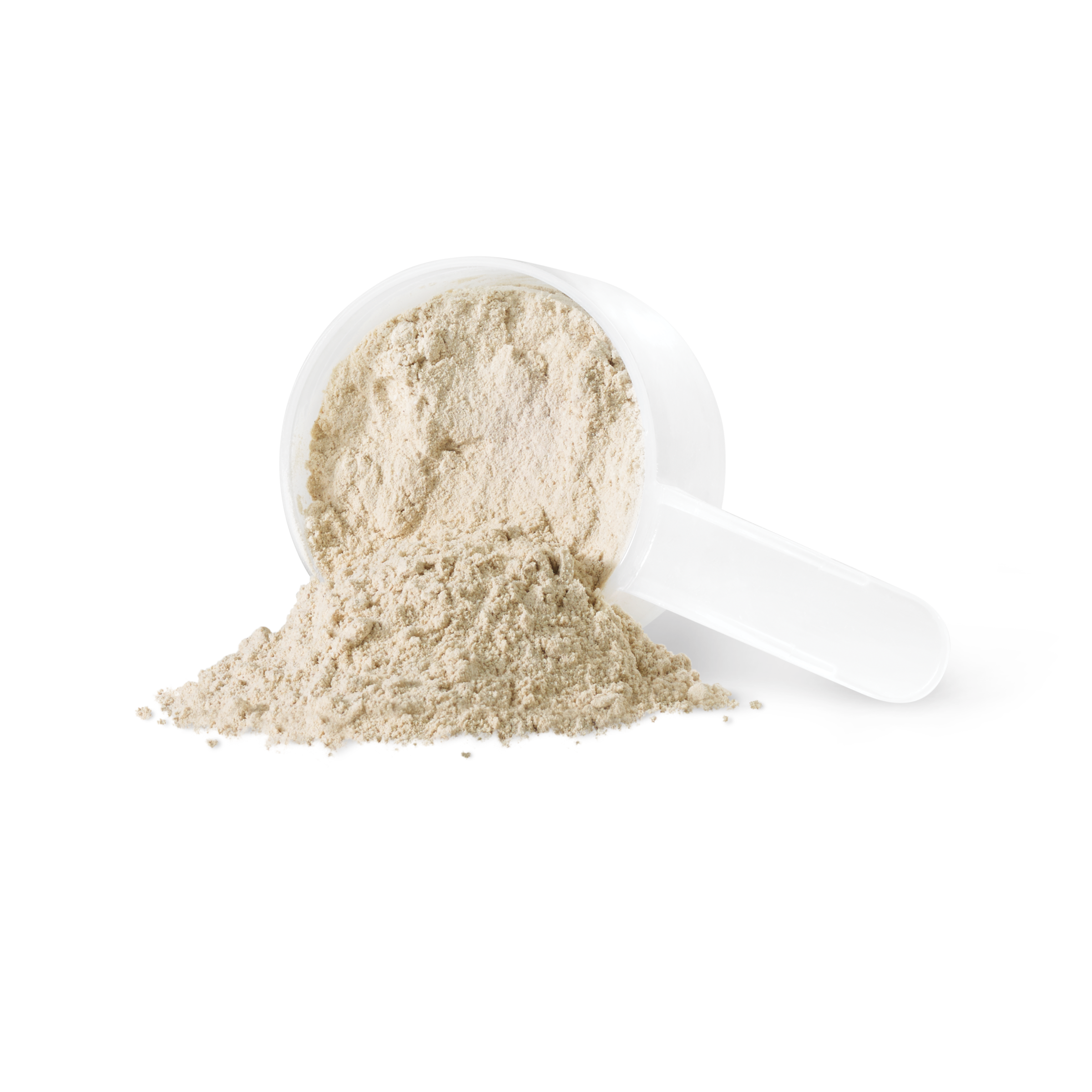 Sprouted Protein
