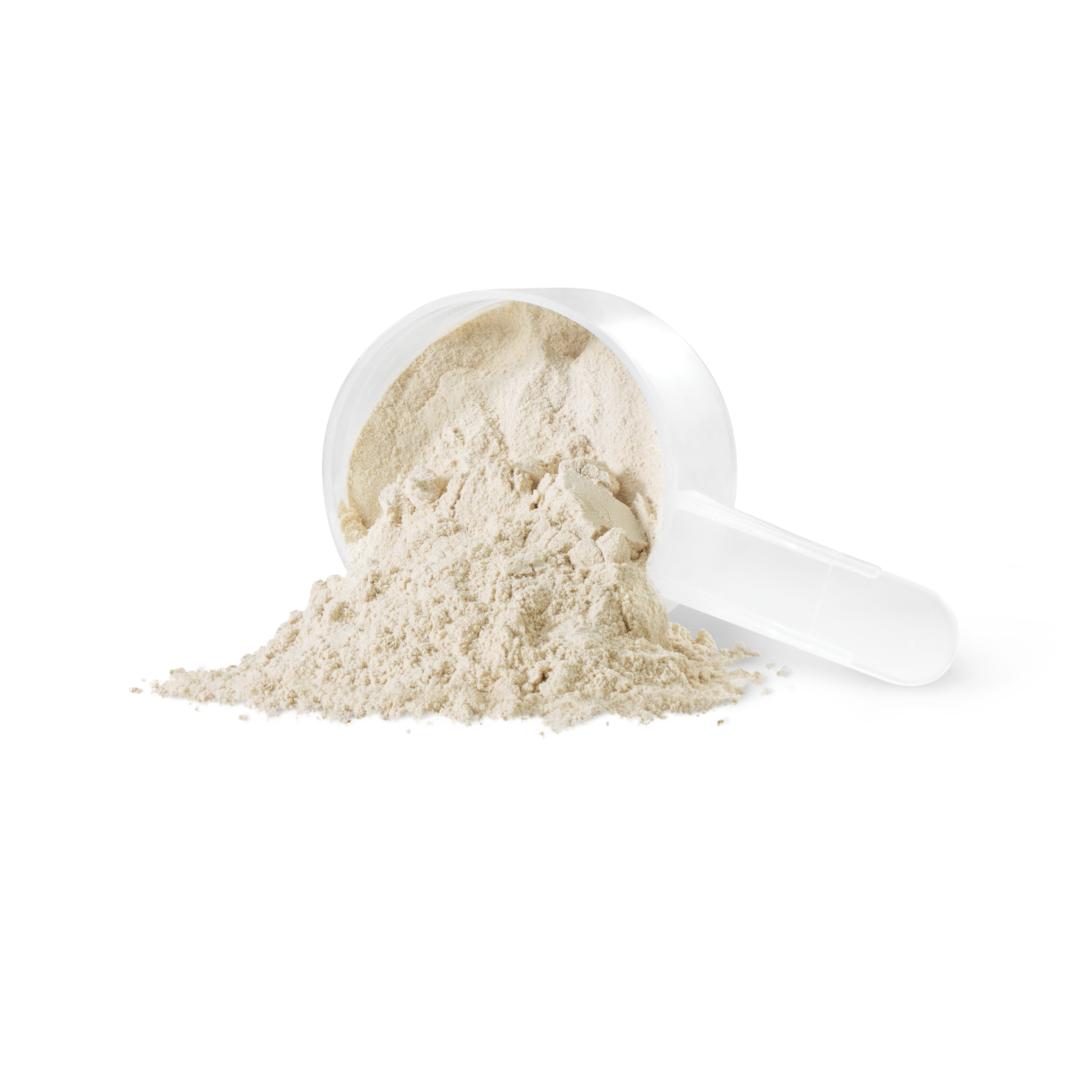 Sprouted Protein