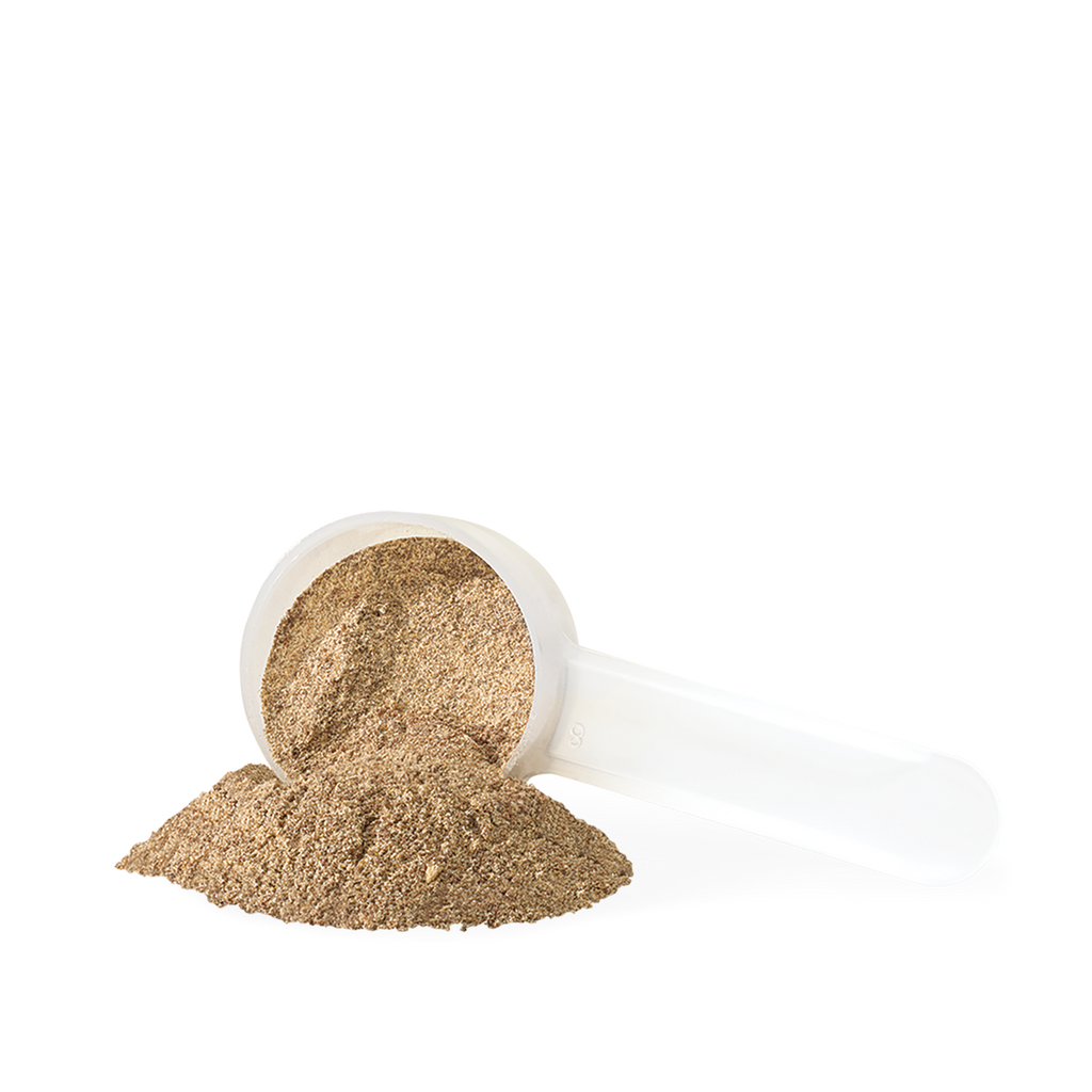 31002021 Iron Vegan Balanced Energy g IV9794_CONTENTS