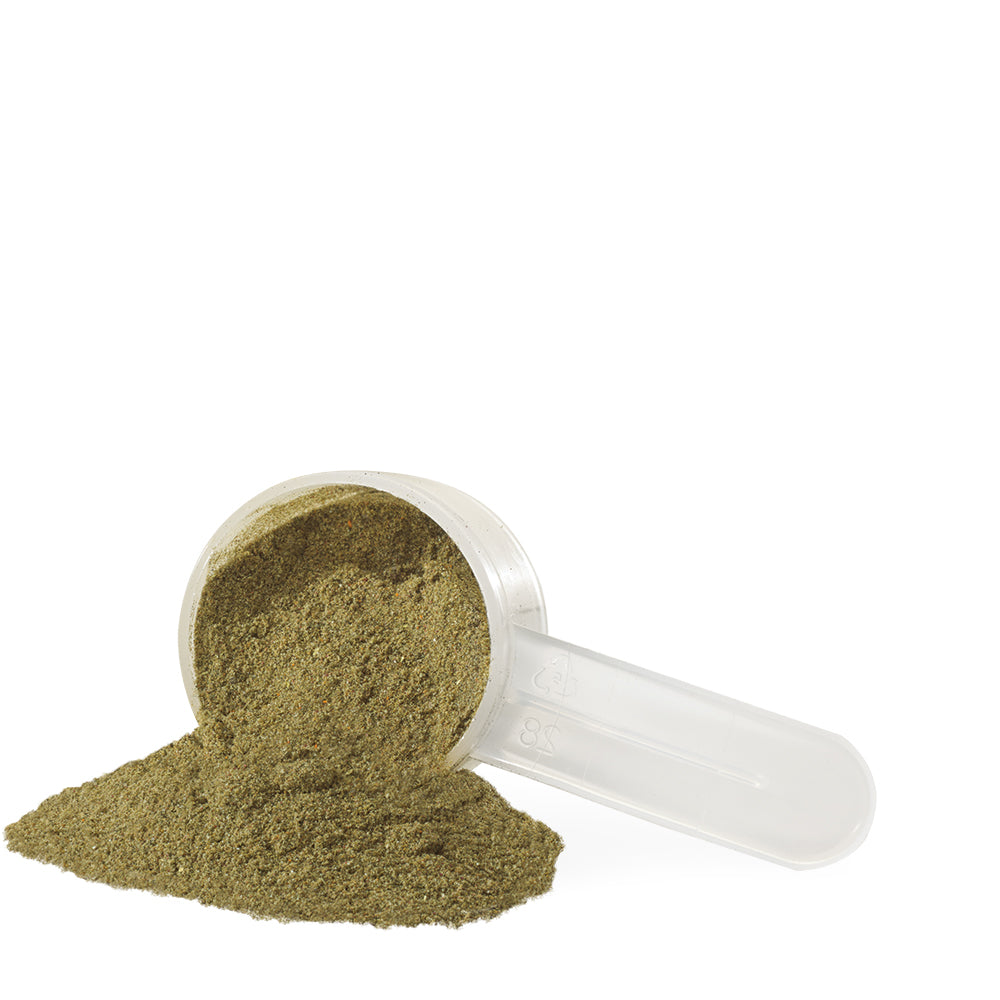 IV9961_IV Superfoods &amp; Greens_Pineapple Orange_Scoop